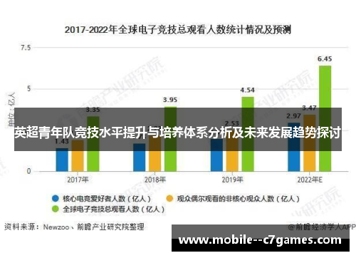 英超青年队竞技水平提升与培养体系分析及未来发展趋势探讨