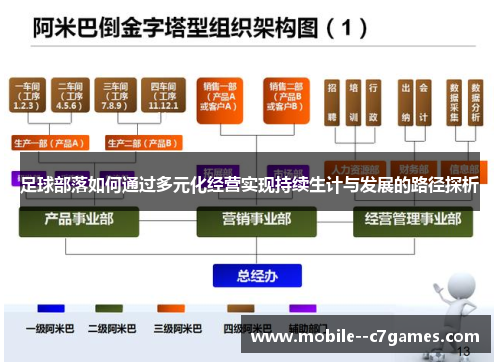足球部落如何通过多元化经营实现持续生计与发展的路径探析